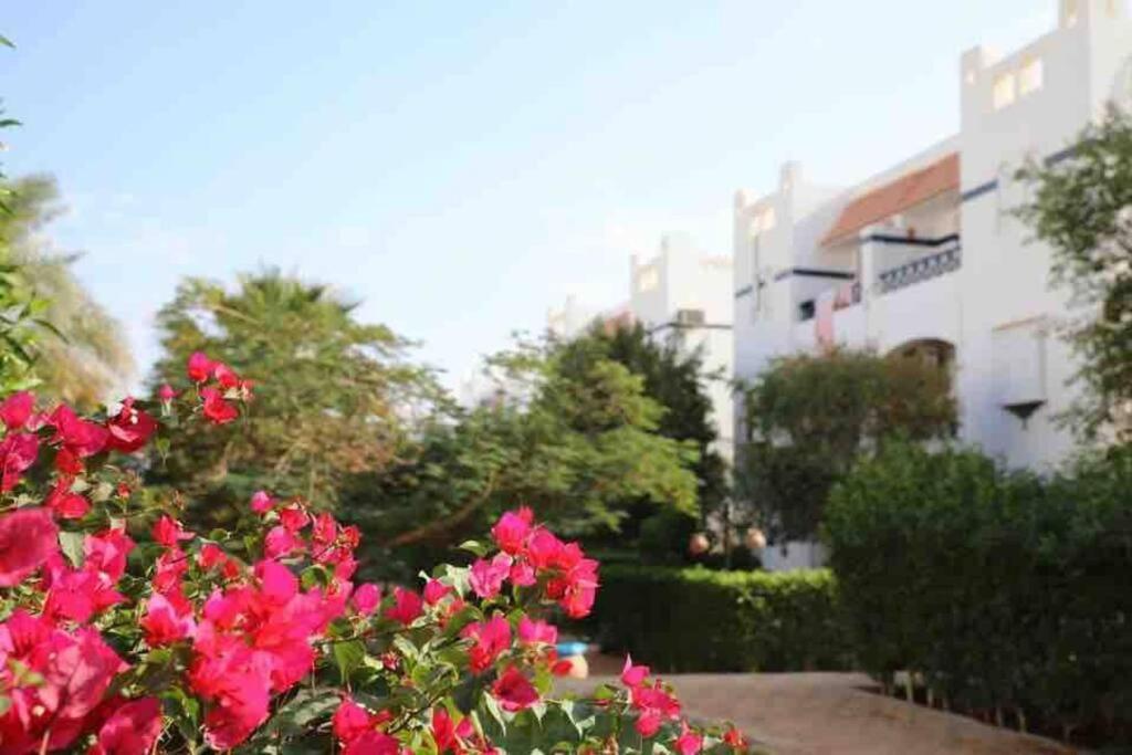 Riviera Resort Apartment - Pool View & Wifi 샤름 엘 셰이크 외부 사진